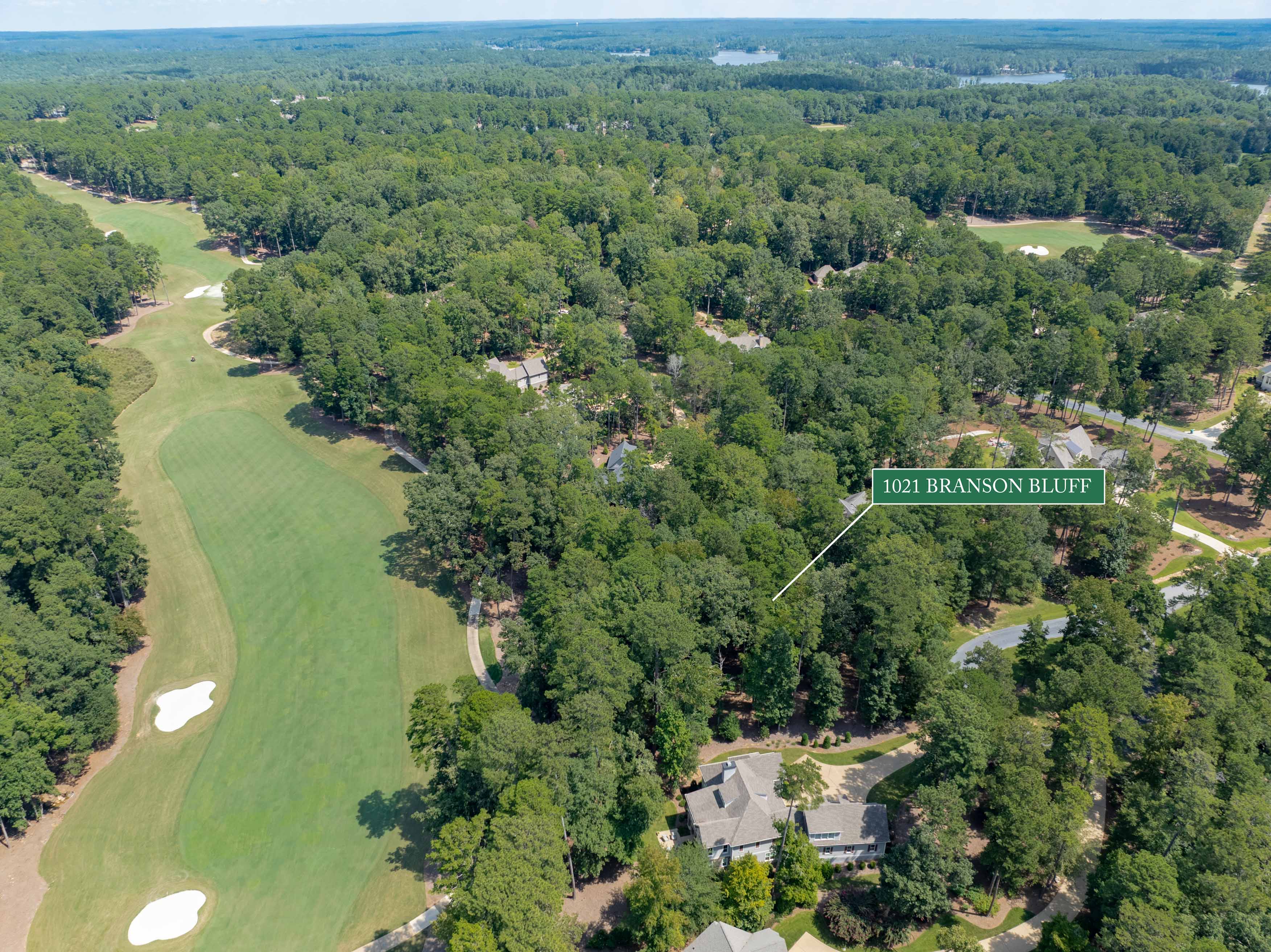 1021 Branson Bluff image 16